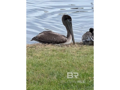 Don't miss this great opportunity to own one of the last on Peninsula Golf and Racquet Club in Alabama - for sale on GolfHomes.com, golf home, golf lot
