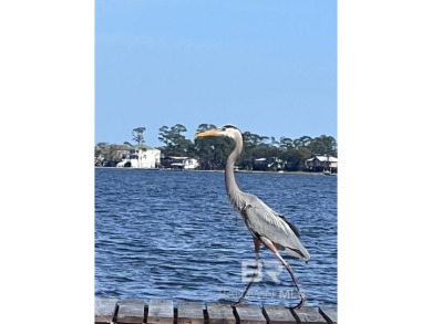 Don't miss this great opportunity to own one of the last on Peninsula Golf and Racquet Club in Alabama - for sale on GolfHomes.com, golf home, golf lot