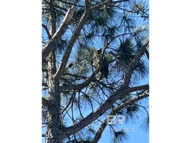 Don't miss this great opportunity to own one of the last on Peninsula Golf and Racquet Club in Alabama - for sale on GolfHomes.com, golf home, golf lot