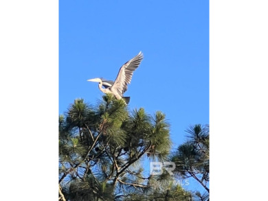 Don't miss this great opportunity to own one of the last on Peninsula Golf and Racquet Club in Alabama - for sale on GolfHomes.com, golf home, golf lot