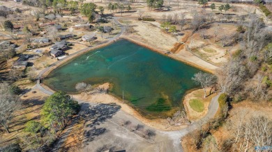 LIVE LIKE A PRO.. Personal residence OR Business...This 3 hole on De Soto Country Club in Alabama - for sale on GolfHomes.com, golf home, golf lot