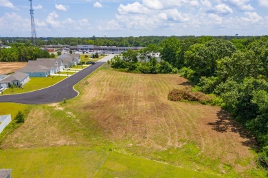 Exceptional 1.69-acre tract on William Clark Blvd, cleared and on Santee National Golf Course in South Carolina - for sale on GolfHomes.com, golf home, golf lot