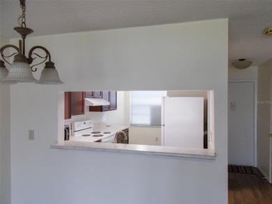 Move in ready 2 bedroom, 2 bath condo/villa. Just updated with on Seven Springs Golf and Country Club in Florida - for sale on GolfHomes.com, golf home, golf lot