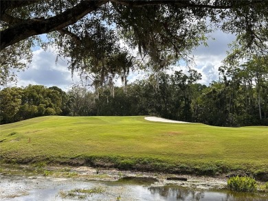Highly sought after and well-maintained home in The Pinnacle on East Lake Woodlands Country Club in Florida - for sale on GolfHomes.com, golf home, golf lot