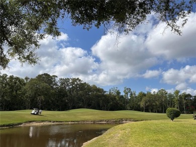 Highly sought after and well-maintained home in The Pinnacle on East Lake Woodlands Country Club in Florida - for sale on GolfHomes.com, golf home, golf lot