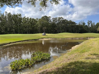 Highly sought after and well-maintained home in The Pinnacle on East Lake Woodlands Country Club in Florida - for sale on GolfHomes.com, golf home, golf lot