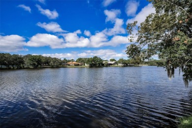 Looking for PRIVACY and STUNNING WATER VIEWS with NO FRONT OR on East Lake Woodlands Country Club in Florida - for sale on GolfHomes.com, golf home, golf lot