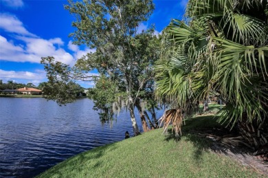 Looking for PRIVACY and STUNNING WATER VIEWS with NO FRONT OR on East Lake Woodlands Country Club in Florida - for sale on GolfHomes.com, golf home, golf lot