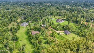 Discover the perfect canvas for your dream home on this 1 on Indian Springs Golf Club in Florida - for sale on GolfHomes.com, golf home, golf lot