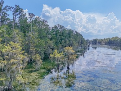 Discover the perfect canvas for your dream home on this 1 on Indian Springs Golf Club in Florida - for sale on GolfHomes.com, golf home, golf lot