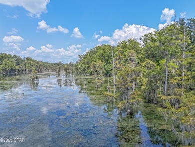 Discover the perfect canvas for your dream home on this 1 on Indian Springs Golf Club in Florida - for sale on GolfHomes.com, golf home, golf lot