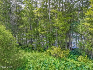 Discover the perfect canvas for your dream home on this 1 on Indian Springs Golf Club in Florida - for sale on GolfHomes.com, golf home, golf lot