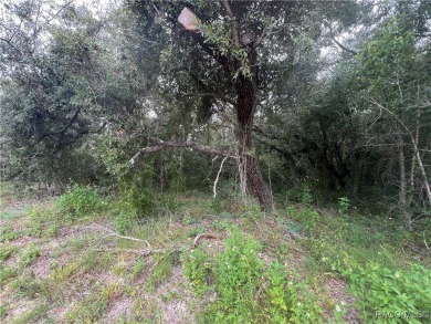 Explore this exceptional 0.25-acre estate lot in the highly on Sugarmill Woods Golf and Country Club in Florida - for sale on GolfHomes.com, golf home, golf lot
