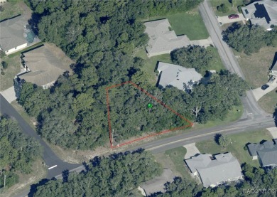 Explore this exceptional 0.25-acre estate lot in the highly on Sugarmill Woods Golf and Country Club in Florida - for sale on GolfHomes.com, golf home, golf lot