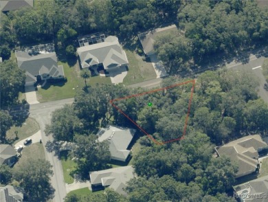 Explore this exceptional 0.25-acre estate lot in the highly on Sugarmill Woods Golf and Country Club in Florida - for sale on GolfHomes.com, golf home, golf lot