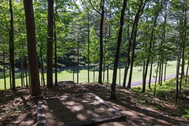 Enjoy breathtaking views & the perfect blend of relaxation & on Cortez Golf Course in Arkansas - for sale on GolfHomes.com, golf home, golf lot