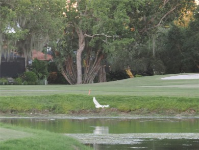 VACATION WHERE YOU LIVE... UNIQUE RARE OPPORTUNITY to own this on East Lake Woodlands Country Club in Florida - for sale on GolfHomes.com, golf home, golf lot