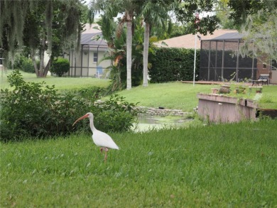 VACATION WHERE YOU LIVE... UNIQUE RARE OPPORTUNITY to own this on East Lake Woodlands Country Club in Florida - for sale on GolfHomes.com, golf home, golf lot