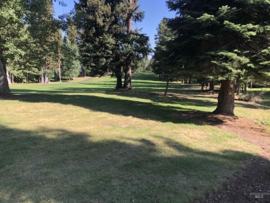 Prime Birch #1.  Water and Sewer hookups partially prepaid on McCall Municipal Golf Course in Idaho - for sale on GolfHomes.com, golf home, golf lot