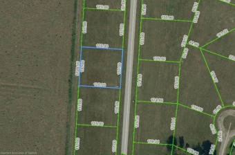Are you looking for a third-acre lot to build a new home on on Spring Lake Golf Resort in Florida - for sale on GolfHomes.com, golf home, golf lot