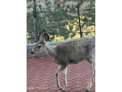 Gorgeous Prescott Country Club Retreat - An Absolute Must-See on Prescott Golf and Country Club in Arizona - for sale on GolfHomes.com, golf home, golf lot