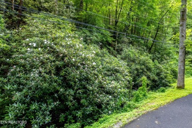 Discover this beautiful, untouched lot nestled in the serene on Bent Creek Golf Course in Tennessee - for sale on GolfHomes.com, golf home, golf lot