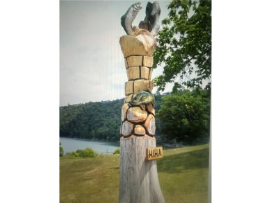Table Rock Lake, Flat, Island Lot!  Power, sewer and water at on Holiday Island Executive Golf Course in Arkansas - for sale on GolfHomes.com, golf home, golf lot