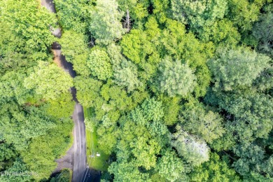 Discover this beautiful, untouched lot nestled in the serene on Bent Creek Golf Course in Tennessee - for sale on GolfHomes.com, golf home, golf lot