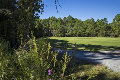 Amazing Opportunity in WaterSound Origins! Own one of the on Origins Golf Club in Florida - for sale on GolfHomes.com, golf home, golf lot
