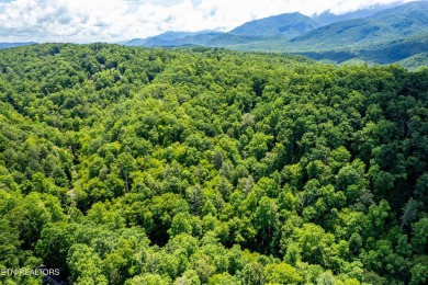 Discover this beautiful, untouched lot nestled in the serene on Bent Creek Golf Course in Tennessee - for sale on GolfHomes.com, golf home, golf lot