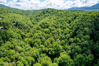 Discover this beautiful, untouched lot nestled in the serene on Bent Creek Golf Course in Tennessee - for sale on GolfHomes.com, golf home, golf lot