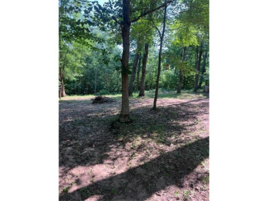Have you been dreaming having your own permanent campsite?  Look on Voyager Village Country Club - Voyager in Wisconsin - for sale on GolfHomes.com, golf home, golf lot
