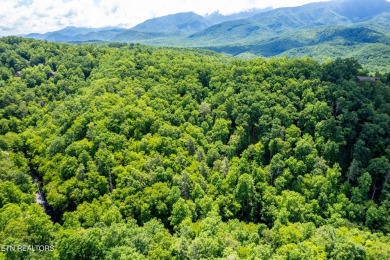 Discover this beautiful, untouched lot nestled in the serene on Bent Creek Golf Course in Tennessee - for sale on GolfHomes.com, golf home, golf lot