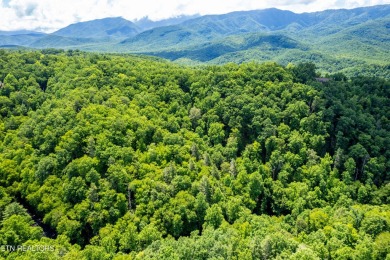 Discover this beautiful, untouched lot nestled in the serene on Bent Creek Golf Course in Tennessee - for sale on GolfHomes.com, golf home, golf lot