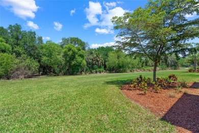 Welcome to River Strand Golf and Country Club offering on River Strand Golf and Country Club At Heritage Harbour  in Florida - for sale on GolfHomes.com, golf home, golf lot