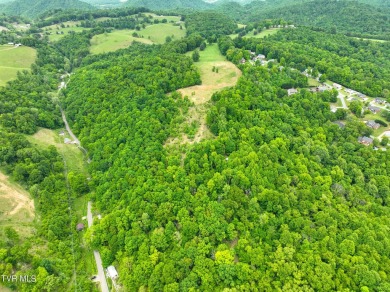 Welcome to your dream property in Gate City, VA! This 18+ acres on Scott County Park and Golf Course in Virginia - for sale on GolfHomes.com, golf home, golf lot