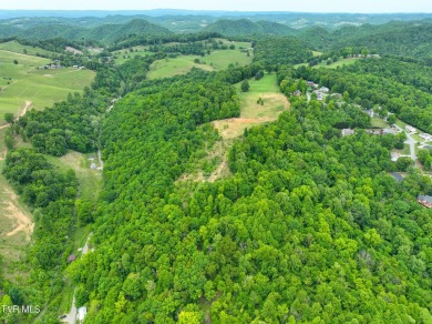 Welcome to your dream property in Gate City, VA! This 18+ acres on Scott County Park and Golf Course in Virginia - for sale on GolfHomes.com, golf home, golf lot