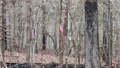 3 side-by-side RIVER lots in Cherokee Village! Recently surveyed on Cherokee Village North Course in Arkansas - for sale on GolfHomes.com, golf home, golf lot