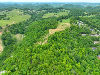 Welcome to your dream property in Gate City, VA! This 18+ acres on Scott County Park and Golf Course in Virginia - for sale on GolfHomes.com, golf home, golf lot