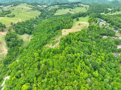 Welcome to your dream property in Gate City, VA! This 18+ acres on Scott County Park and Golf Course in Virginia - for sale on GolfHomes.com, golf home, golf lot