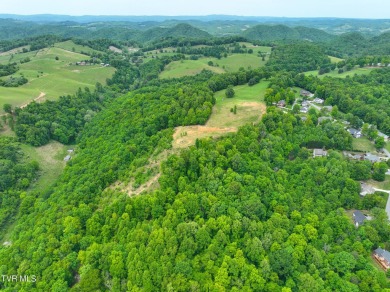 Welcome to your dream property in Gate City, VA! This 18+ acres on Scott County Park and Golf Course in Virginia - for sale on GolfHomes.com, golf home, golf lot