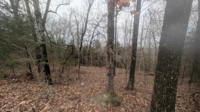 3 side-by-side RIVER lots in Cherokee Village! Recently surveyed on Cherokee Village North Course in Arkansas - for sale on GolfHomes.com, golf home, golf lot