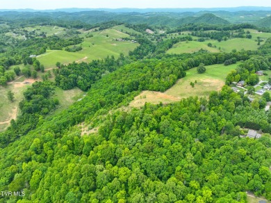 Welcome to your dream property in Gate City, VA! This 18+ acres on Scott County Park and Golf Course in Virginia - for sale on GolfHomes.com, golf home, golf lot