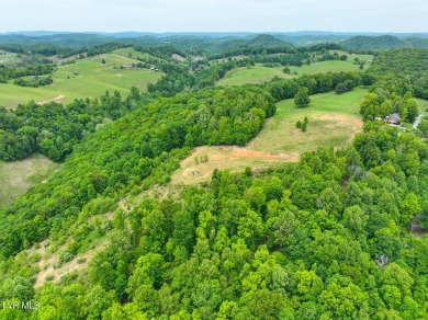 Welcome to your dream property in Gate City, VA! This 18+ acres on Scott County Park and Golf Course in Virginia - for sale on GolfHomes.com, golf home, golf lot