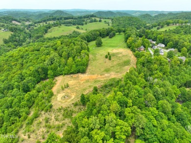 Welcome to your dream property in Gate City, VA! This 18+ acres on Scott County Park and Golf Course in Virginia - for sale on GolfHomes.com, golf home, golf lot