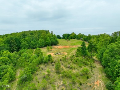 Welcome to your dream property in Gate City, VA! This 18+ acres on Scott County Park and Golf Course in Virginia - for sale on GolfHomes.com, golf home, golf lot