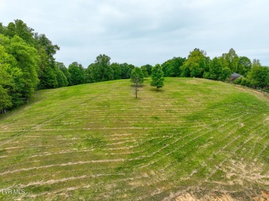 Welcome to your dream property in Gate City, VA! This 18+ acres on Scott County Park and Golf Course in Virginia - for sale on GolfHomes.com, golf home, golf lot