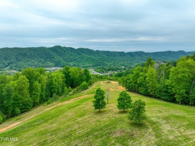 Welcome to your dream property in Gate City, VA! This 18+ acres on Scott County Park and Golf Course in Virginia - for sale on GolfHomes.com, golf home, golf lot