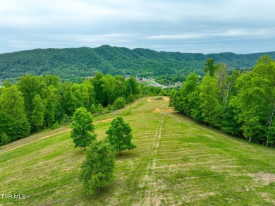 Welcome to your dream property in Gate City, VA! This 18+ acres on Scott County Park and Golf Course in Virginia - for sale on GolfHomes.com, golf home, golf lot