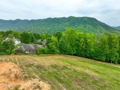 Welcome to your dream property in Gate City, VA! This 18+ acres on Scott County Park and Golf Course in Virginia - for sale on GolfHomes.com, golf home, golf lot